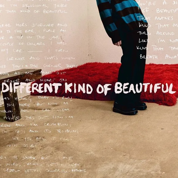 Different Kind Of Beautiful のサムネイル