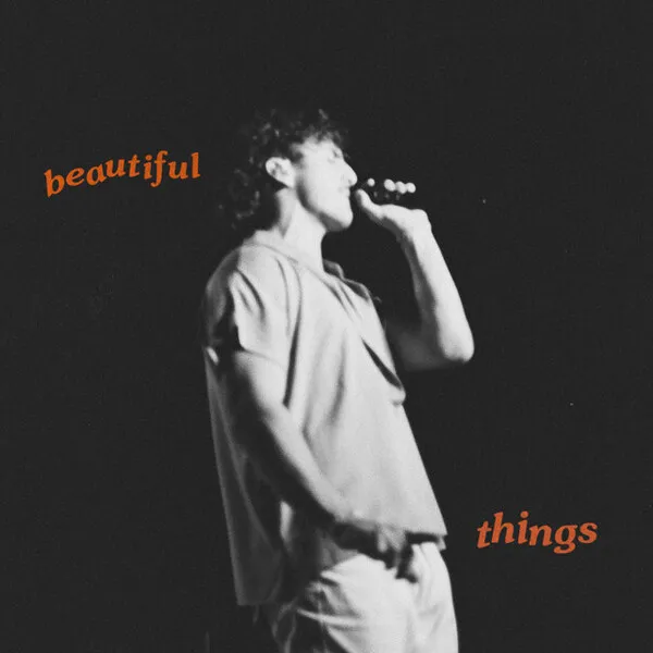 Beautiful Things のサムネイル