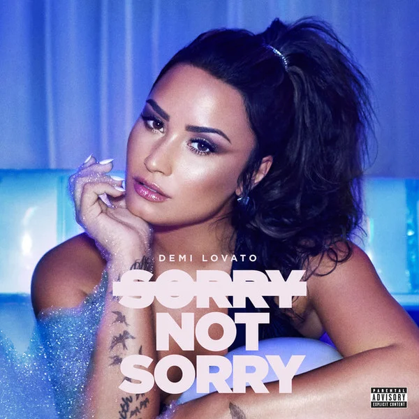 Sorry Not Sorry のサムネイル
