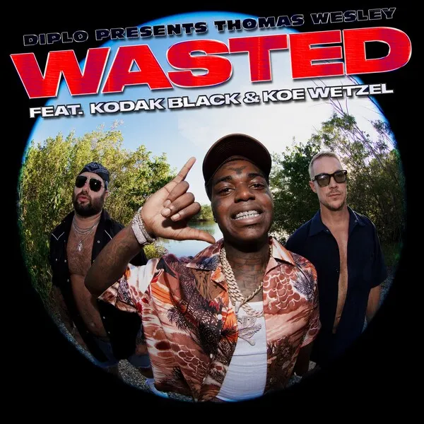 Wasted のサムネイル