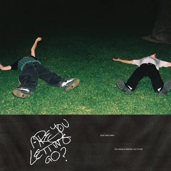 Are You Letting Go? のサムネイル