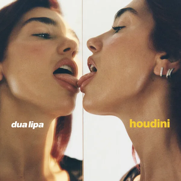 Houdini のサムネイル