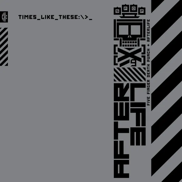 Times Like These のサムネイル