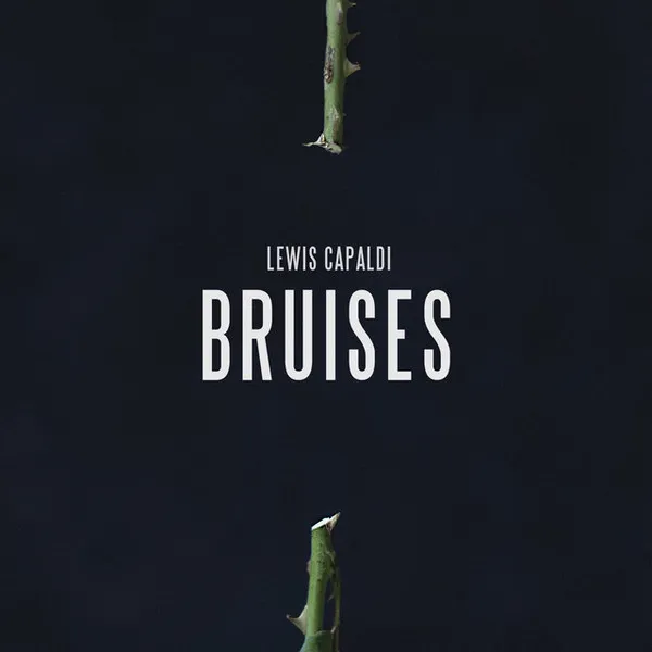 Bruises のサムネイル