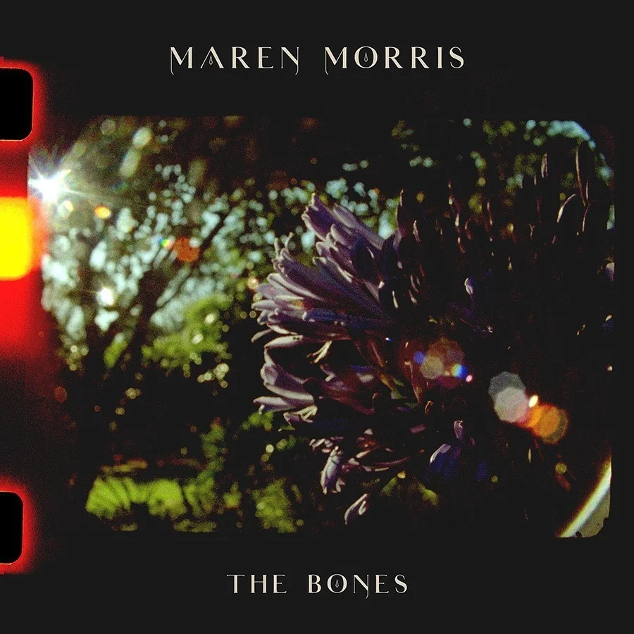 The Bones のサムネイル