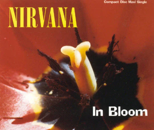 In Bloom のサムネイル