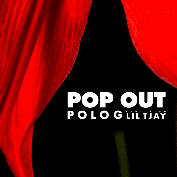 Pop Out のサムネイル