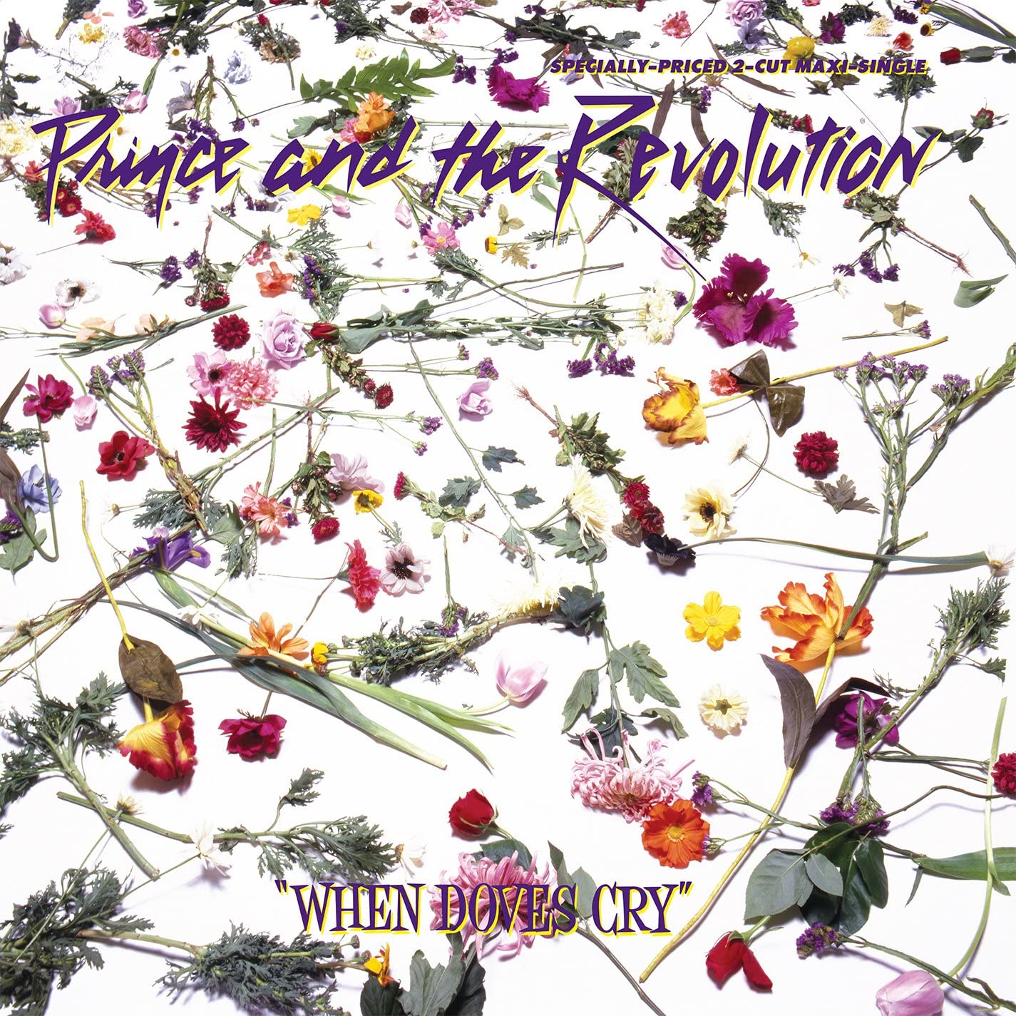 When Doves Cry のサムネイル