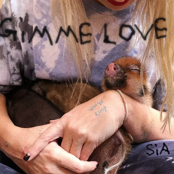 Gimme Love のサムネイル