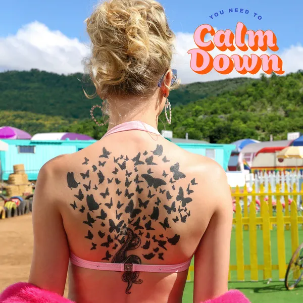 You Need To Calm Down のサムネイル