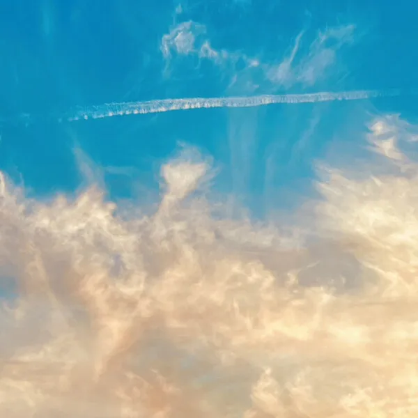 Life Is Beautiful のサムネイル