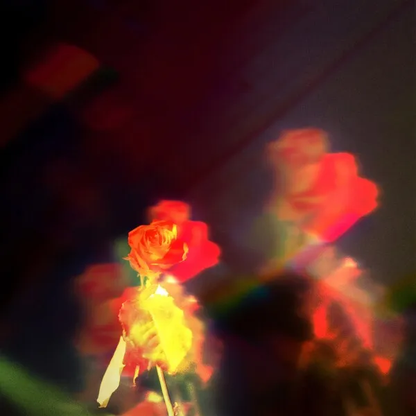 Petals On The Moon のサムネイル