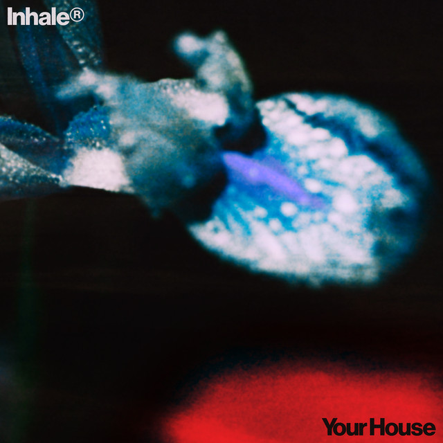 Your House のサムネイル