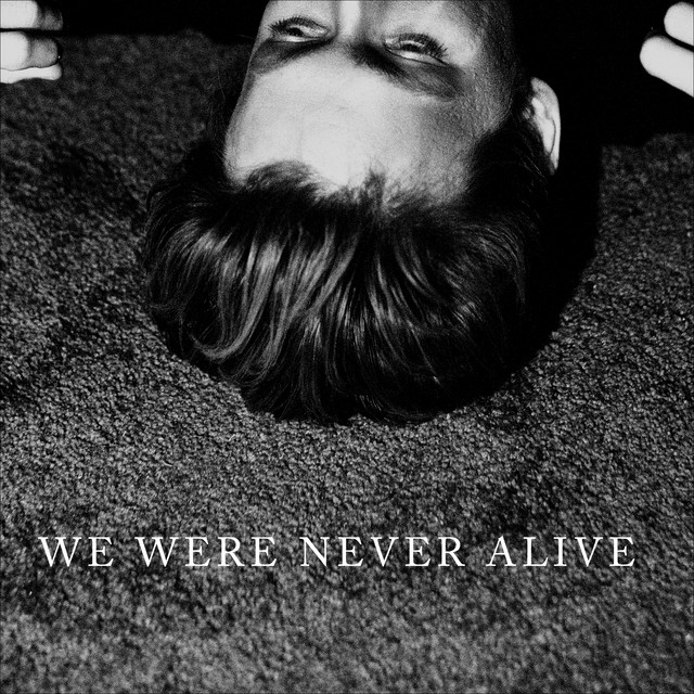 We Were Never Alive のサムネイル