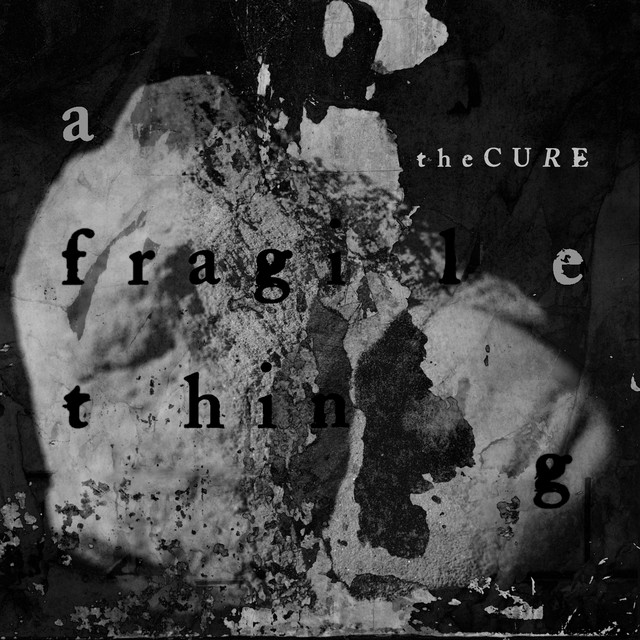 A Fragile Thing のサムネイル