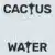 Cactus Water のサムネイル