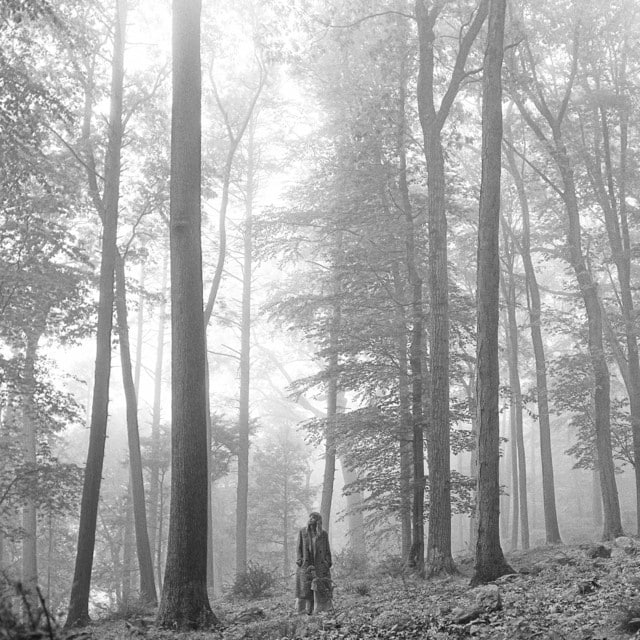 the lakes のサムネイル