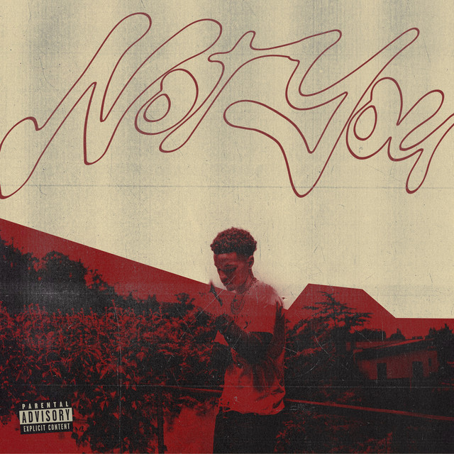 Not You のサムネイル
