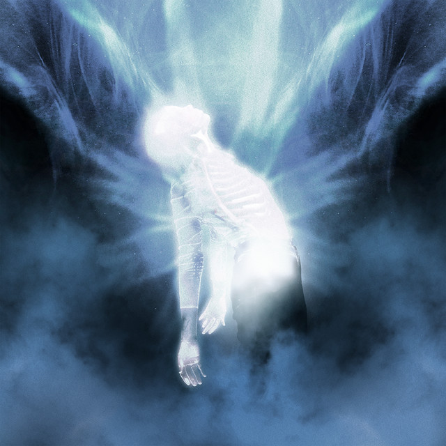 Where Does The Light Get In? のサムネイル
