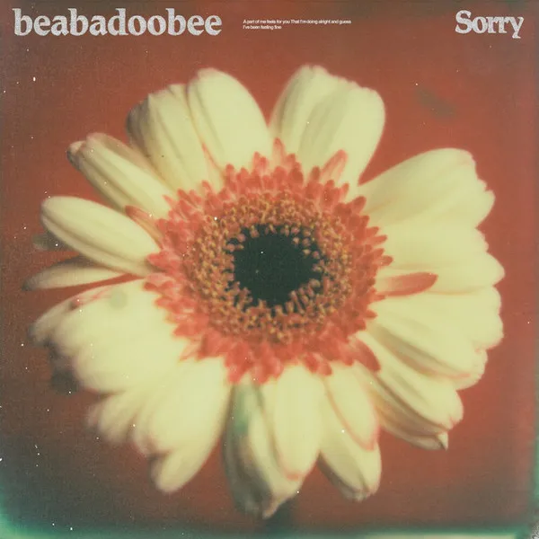 Sorry のサムネイル