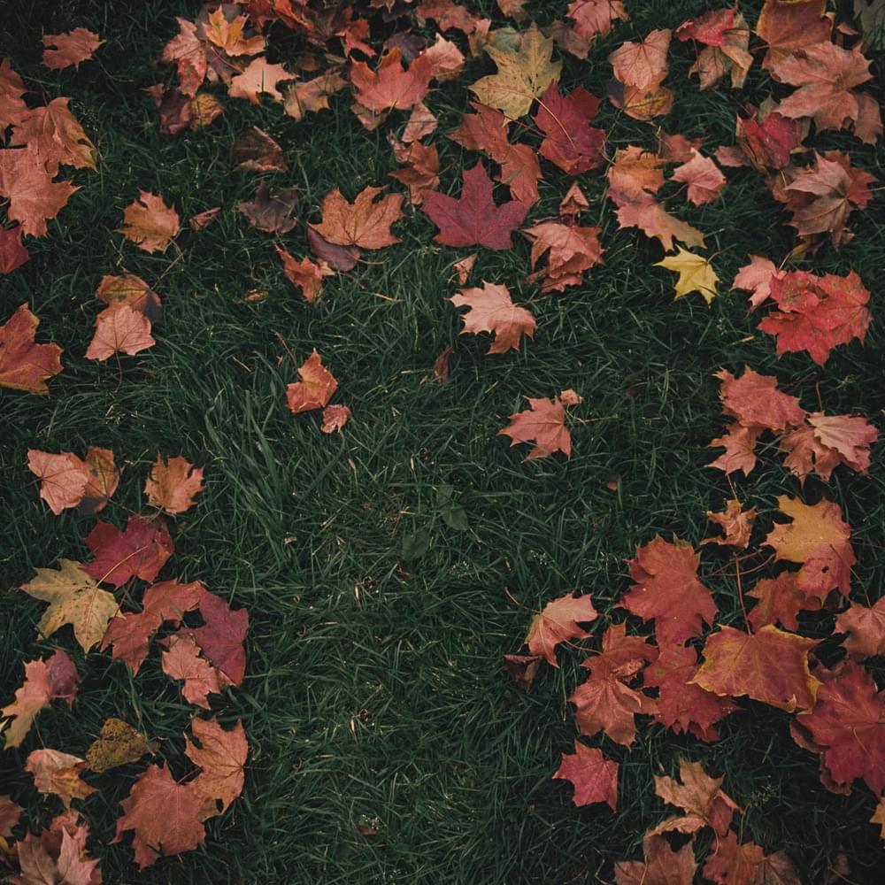 October Passed Me By のサムネイル